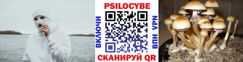Псилоцибиновые грибы прущие грибы  Ильский 